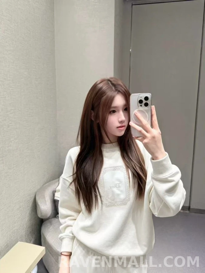 디올 디올 메달리온 콜리브리 맨투맨 상세 이미지