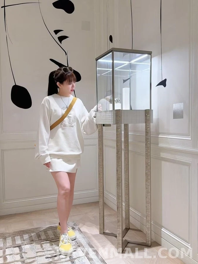 디올 디올 메달리온 콜리브리 릴랙스 핏 스웨트셔츠 상세 이미지