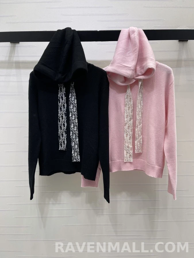 디올 디올 오블리크 후드 긴팔 티셔츠 상세 이미지