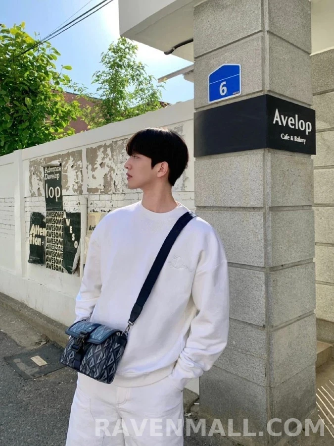 디올 디올 자카드 로고 맨투맨 상세 이미지