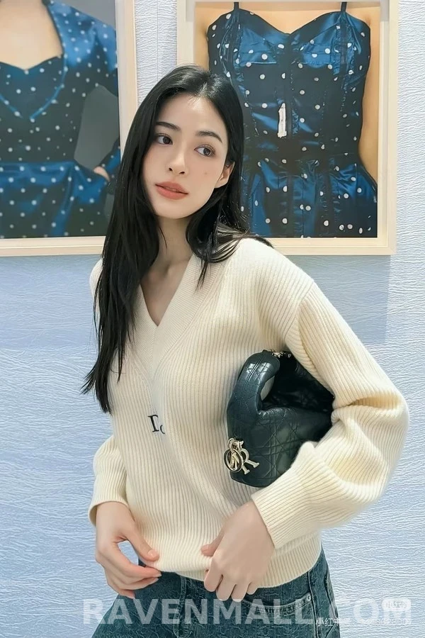 디올 디올 V넥 자수 로고 니트 상세 이미지