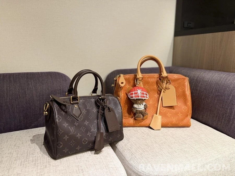 루이비통 루이비통 스트라이프 꿀벌 루이 베어 키링 상세 이미지