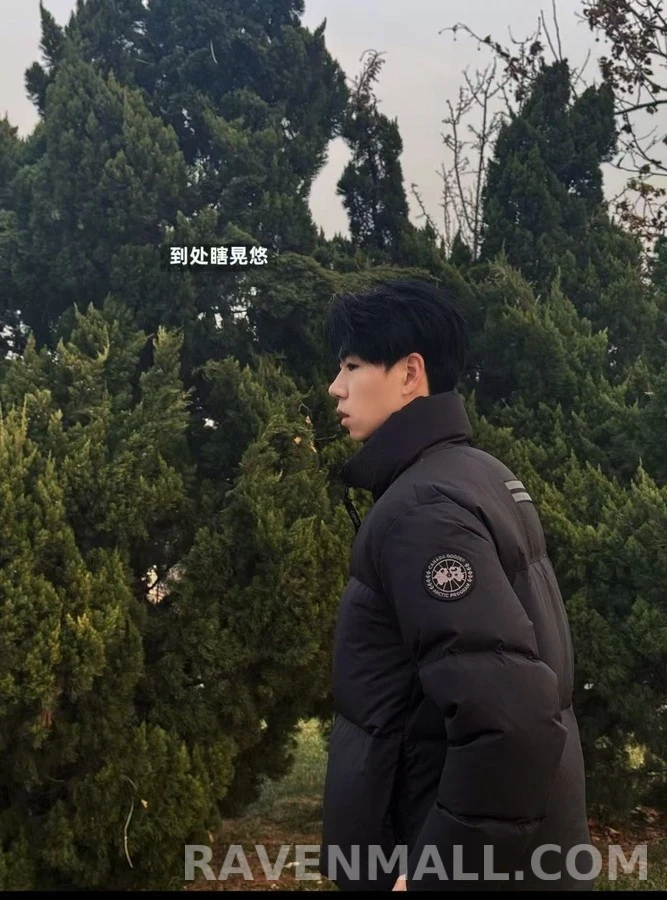 캐나다구스 캐나다 구스 Lawrence 하이넥 패딩 상세 이미지