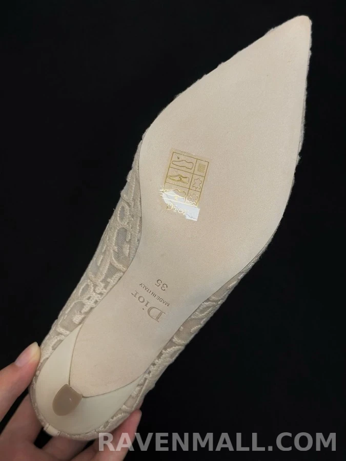 디올 디올 오블리크 자카드 힐 상세 이미지