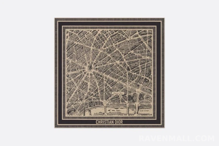 디올 디올 PLAN DE Paris 파레오 스카프 상세 이미지